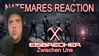 Eisbrecher  Zwischen Uns Reaction [upl. by Brink]