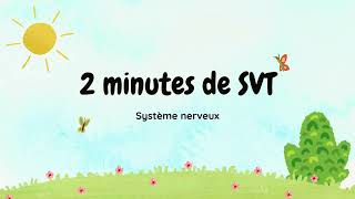 2 minutes de SVT Système nerveux [upl. by Alvira]