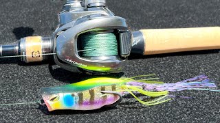 Frog Fishing For Bass  Everything You Need To Know [upl. by Ezequiel]