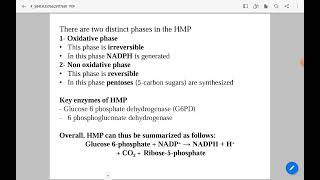 شرح محاضرة ال pentose shunt HMP [upl. by Bainbrudge691]