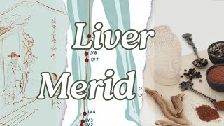 Easy learning Liver Acupoints tcm [upl. by Ivar]