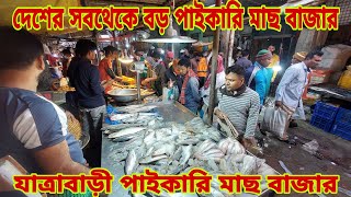 ঢাকা শহরের সবথেকে বড় পাইকারি মাছ বাজার  Biggest Fish Market 26 November 2024  My Life [upl. by Adrian]