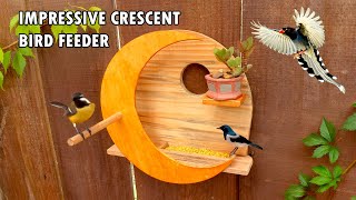 Selfbuild deluxe bird feeder at home [upl. by Eenar]