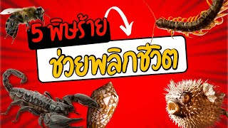 5 พิษร้ายที่ช่วยพลิกชีวิต [upl. by Idnis]