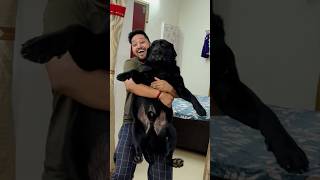 My Dog Hates Bath trending lucky doglover [upl. by Middlesworth]