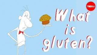 What’s the big deal with gluten  William D Chey [upl. by Seavir201]