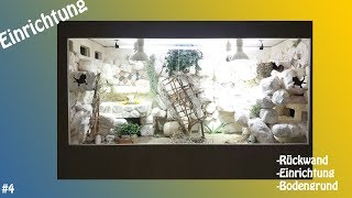 Das Bartagamen Terrarium Rückwand und Einrichtung Video 004 [upl. by Nnylrats529]