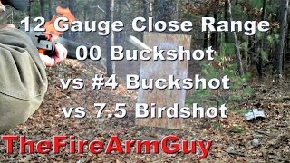 12 Gauge Shot Pattern amp Penetration 00 Buckshot vs 4 Buckshot vs 75 Birdshot  TheFireArmGuy [upl. by Sekofski]