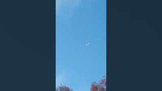 Dornier 328Jet flyover my house in approach into CSG [upl. by Seditsira]