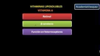 Vitaminas Liposolubles Vitamina A [upl. by Onid]