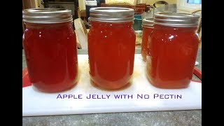 Homemade Apple Jelly Using fresh picked apples [upl. by Moia]