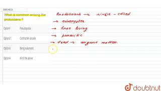 What is common among the protozoans   11  BIOLOGICAL CLASSIFICATION  BIOLOGY  A2Z  Doubtnu [upl. by Adnik393]