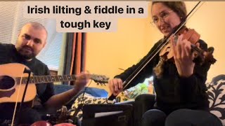 Irish Lilting a new fiddle tune  Kaylee Johnson [upl. by Isiad]