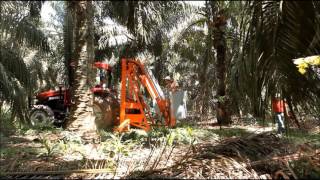 Palm Oil harvesting with DAmico aerial platforms Bielevatore S1 [upl. by Dyann966]