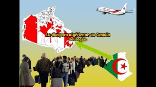 La diaspora algérienne au Canada soulagée [upl. by Esoj]