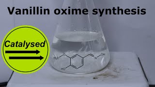 Testing my hydroxylamine  Synthesis of Vanillin oxime [upl. by Delia364]