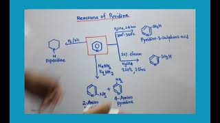 Reactions of Pyridine [upl. by Leonid325]