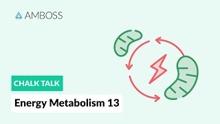 Energy Metabolism  Part 13 Fatty Acid Synthesis with molecular structures [upl. by Ecidnarb]