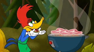 Woody Loves Grilling  1 Hour of Woody Woodpecker Full Episodes [upl. by Florinda647]