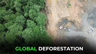 Act Now Save Earth’s Vital Forests [upl. by Docilla]