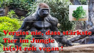 Rohvegane Ernährung  Wildkräuter Quiz [upl. by Ydnagrub31]