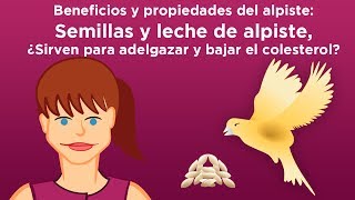 Beneficios y propiedades de la leche de semillas de alpiste para adelgazar y bajar el colesterol [upl. by Jochbed834]