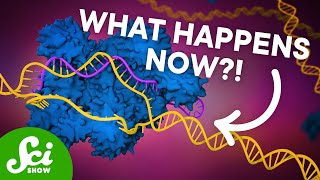 The First CRISPR Gene Therapy Is Here [upl. by Bleier164]