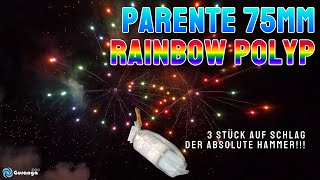 4K  75mm Zylinderbombe  Parente Rainbow Polyp  3x auf Schlag [upl. by Nogem]