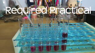 Alcohols effect on pigment leakage from beetroot  AQA Alevel Biology Required Practical Revision [upl. by Desta346]