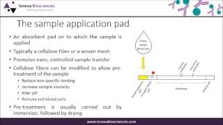 Lateral Flow Webinar A Guide to Lateral Flow Immunoassay Development [upl. by Elon]