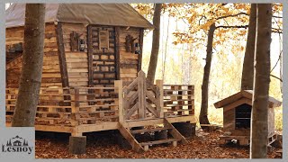 Built a cabin in the woods from pallets Alone in the woods [upl. by Nylirrehs602]