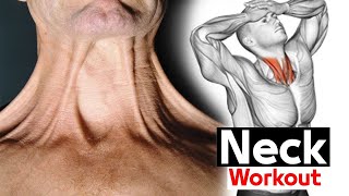 How To Build A Thicker Neck training Fast  Neck Workout [upl. by Wessling]