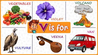 V Letter Words Flash Cards for Kindergarten amp Preschool kids  Learn New Words  littleytv [upl. by Ikin]