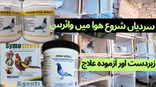 Sardiyaan shorou virus shorou  zabardast or azmoda ilaj  pigeon virus treatment [upl. by Caralie]