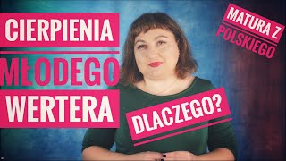 quotCierpienia młodego Werteraquot Dlaczego Werter cierpiał Streszczenie i przybliżenie lektury [upl. by Iiette]