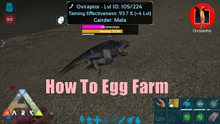 Taming Oviraptor for egg farmingArk Mobile [upl. by Cyrillus512]