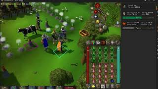 OSRS NMZ SETUP LIKE A BIG DOG [upl. by Claudette313]