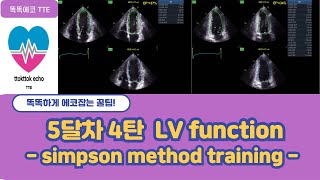 Simpson method training echocardiography 심장초음파 heart echo view simpson echo EF echo [upl. by Laerdna450]