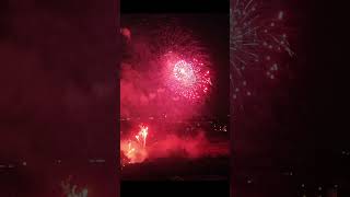 Lichterfest Westfalenpark Dortmund 2024 [upl. by Ariek914]