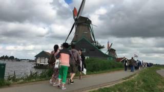 Amsterdam amp Koningsdam Northern Isles Cruise [upl. by Etna]