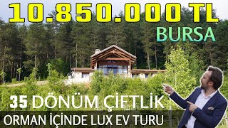 Ormanın içinde 10850000 TLlik Lüks Çiftlik Ev Turu I 35000m2 2 Yarış Atı Loft Salon [upl. by Barnum912]