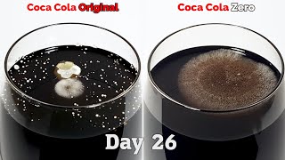 Coke VS Coke Zero  Time lapse 4K TOP REQUEST [upl. by Aynat]