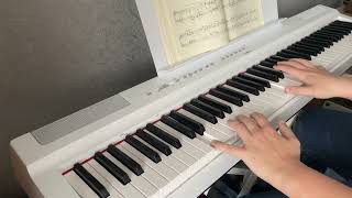 Nocturne op9 no1 Chopin [upl. by Asseralc]