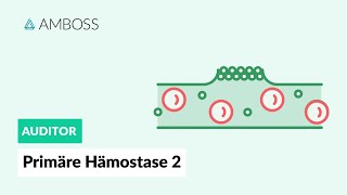 Primäre Hämostase  Teil 2  Physiologie und Medikamente  AMBOSS Auditor [upl. by Calder]