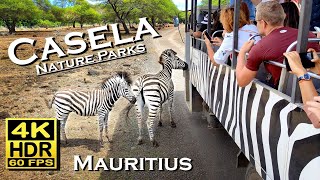 Casela Nature Parks Mauritius in 4K 60fps HDR Dolby Atmos 💖African Safari bus ride and walking tour [upl. by Arihsan]