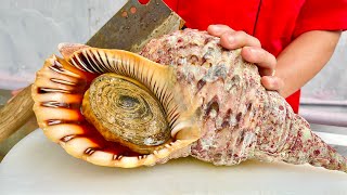 Sea snail sashimi and processing sea snails into many dishes in one kitchen  Asian chef [upl. by Euton]