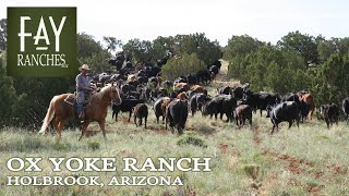 SOLD  Arizona Ranch For Sale  Ox Yoke Ranch  Holbrook Arizona [upl. by Ecineg]