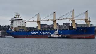 mv Tian En of COSCO Shipping Specialized Carriers Arriving Port of Stockholm from Asia [upl. by Nordin]