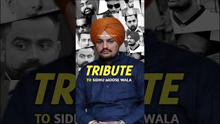 Punjabi Singers Tribute To Sidhu Moose wala 🤫 sidhumoosewala shorts [upl. by Brinkema]