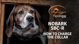 SportDOG Brand® NoBark SBCR  How To Charge The Collar [upl. by Freda]